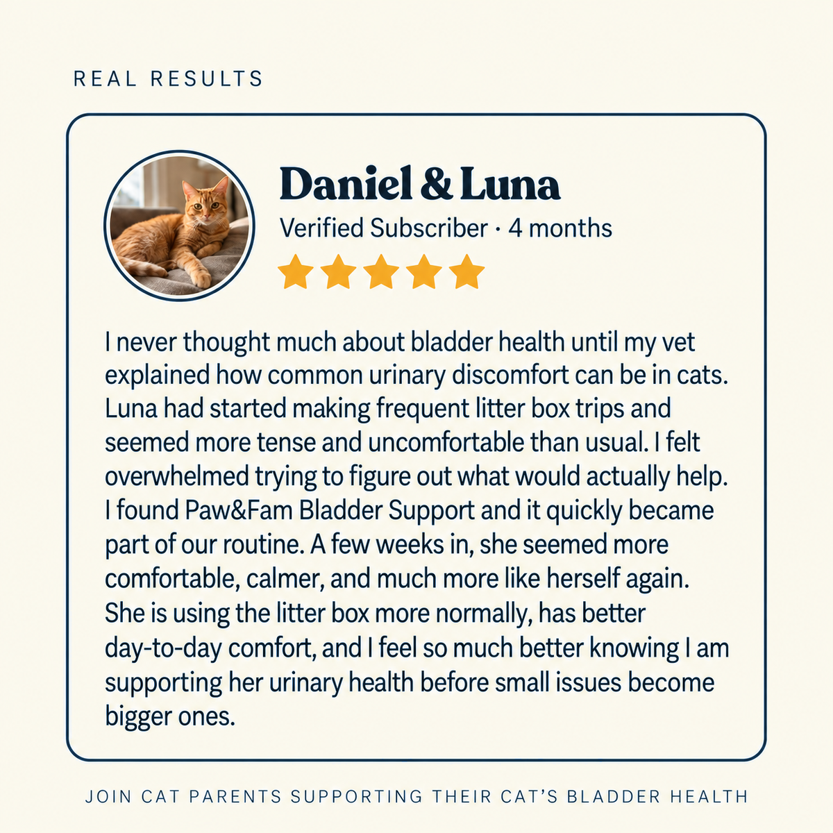 Bladder Support