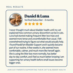 Bladder Support