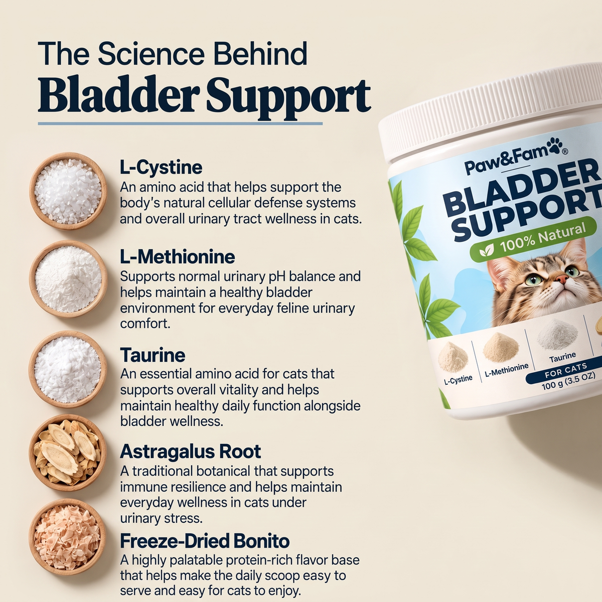 Bladder Support