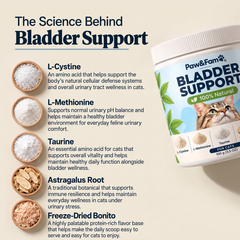 Bladder Support