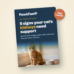 Free e-book: 5 signs your cat's kidneys need support