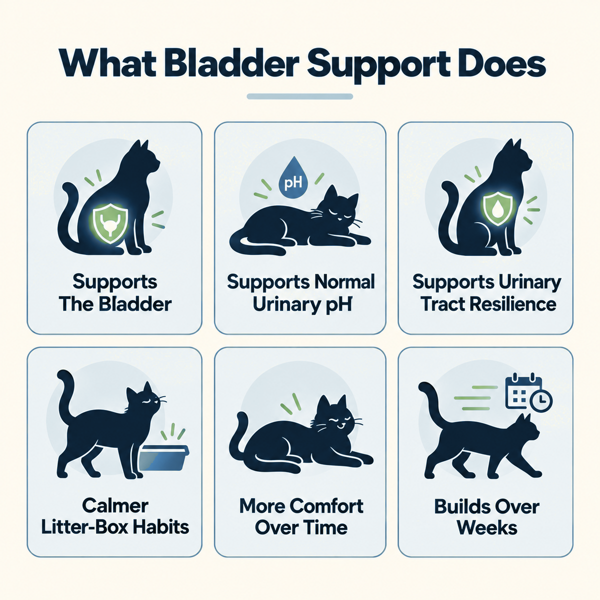 Bladder Support