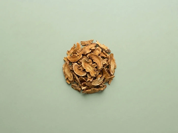Astragalus Root